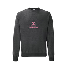 Cargar imagen en el visor de la galería, Sudadera Sin Capucha DC Modelo 1
