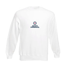 Cargar imagen en el visor de la galería, Sudadera Sin Capucha DC Modelo 2
