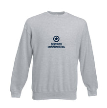 Cargar imagen en el visor de la galería, Sudadera Sin Capucha DC Modelo 3
